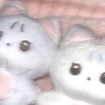 [더보이즈] 차니냥 <b>재판</b> 열렸다!!!!!