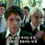 한국 <b>IT</b>강국인거 사실