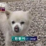 하 어제 술마시다가