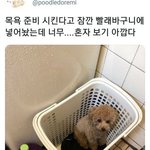 [댓글부탁해] <b>흑역사</b>생각날때 대처법있음?