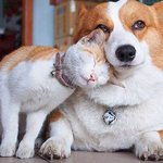 사이도 좋아보이는 보기드문 <b>남매들</b>