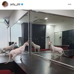 [댓글부탁해] <b>설리</b> 인스타 왤케 맘아프냐