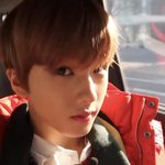 [NCT드림] 햄스터 <b>포착</b>