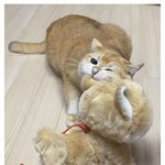 나 다 잘먹는데 <b>오이</b> 콩 당근은