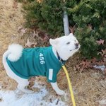 [방탄소년단] 모니 왜 <b>아련</b>해