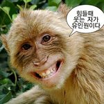 택배 <b>파업</b> 언제 끝나요