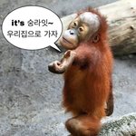 [NCT칠프] <b>가자</b> 우리칠