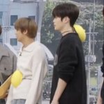 [NCT칠프] 난 얘네들이 너무 웃겨