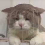 야 호바 <b>샴푸</b> 다썼냐