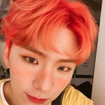 몬<b>베베</b>들은 당장 경청해라