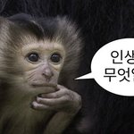 [댓글부탁해] 짝<b>남</b> 그냥 편하게 <b>생각</b>하는게 나을까?