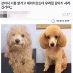 [드루와] 원래 <b>울산</b>에 잘사는 사람들이 많음??