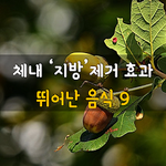 [50대] <b>체내</b> 지방제거 효과 뛰어난 음식 9
