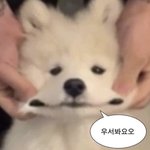 [19] 속상하고 너무 답답해서 죽을거같애