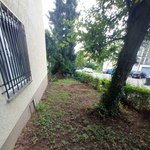 <b>야외</b>를 너무 좋아하는 내 냥이를 위해...