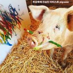<b>추상화</b>에 진심이라는 '피그카소'