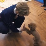[댓글부탁해] 국어 모고 올리고 싶으면 뭐 해야 돼?