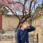 [댓글부탁해] 나 대학 둘 다 붙으면 어디가징