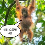 [NCT칠프] <b>타장르</b>) 진짜 골때린다