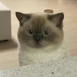 ㅋㅋㅋㅋㅋ 왜용