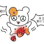 내 최애 <b>벌크</b>업함 미친