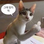 나 체형 ㄹㅇ 닝닝이랑 개똑같음