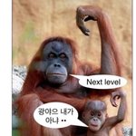 [드루와] 얘들아 진짜 대학이 다<b>일까</b>?