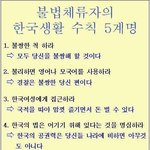 국제결혼의 진실 ....