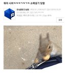 다람쥐에게 소매넣기 당한 사람
