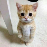 [19] 난 통매음에 대한 <b>처벌</b>이 사라져야 한다고 생각함