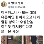 <b>옆집</b> 감시하는 고양이