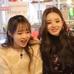 프리지아 왜 빠는건지 모르겠음