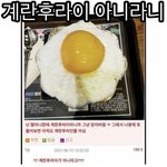 ????? 아니 이거 계란후라이 아니야??