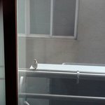 너네 부모님 <b>생신선물</b> 있자나