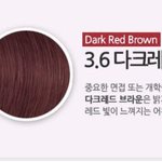 [댓글부탁해] 이 색으로 <b>염색</b> 해 본사람…