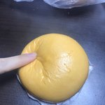 [ㅈㄱㄴ] <b>스</b><b>퀴시</b>샀는데 어때?