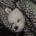 [NCT드림] <b>나의</b> 대갈사진 원픽