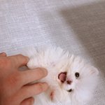 매력넘치는 2살 <b>김포</b>포