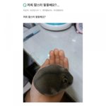 [드루와] 나 알바 <b>개</b>못하나봄 ㅋㅋㅋ