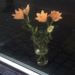 솔직히 <b>여대</b> 가고싶은 사람 있어?