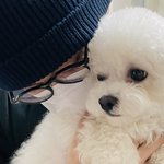 [NCT칠프] ㅌㅇㄴ 언급) 나 진짜 보자마자