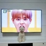 [댓글부탁해] 나 썸인지 아닌지 봐주라ㅜㅜㅜㅜ