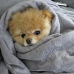 [NCT칠프] 해찬버블셀카 <b>유출</b>