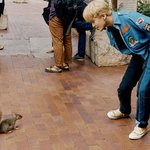 [NCT칠프] 다람쥐 <b>vs</b> 다람쥐