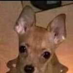 [NCT칠프] 아.. 아직 공백기에 공도 시작 안 했는데 목이 <b>말라</b>