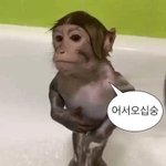 나 담주에 토끼<b>이빨</b> 교정하러가는데 톡선보니깐