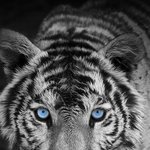 [NCT칠프] 졍우 배경 갖고옴 손<b>민수</b>하자 정프들아