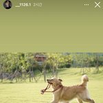 현중지아 <b>사귀</b>나보넹