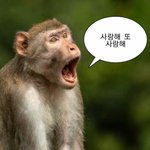 [NCT칠프] <b>숭이</b>보릿