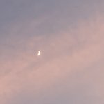 나 큰 <b>꼬막</b><b>눈</b>인데